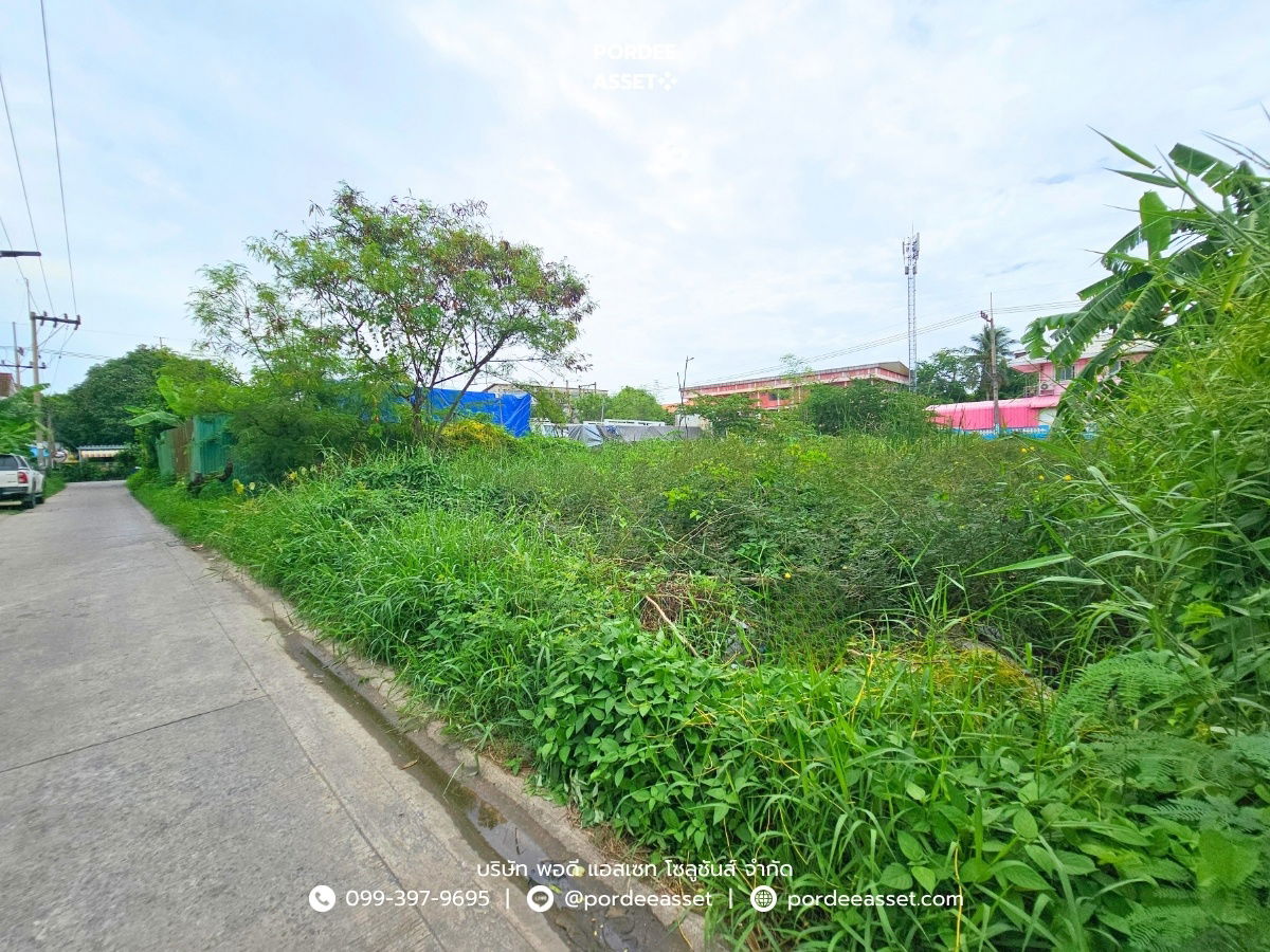 รูป ขาย!! ที่ดินเปล่า 84 ตร.ว. แปลงสวย ซอยเพชรเกษม 87 ใกล้พุทธมณฑลสาย 4 อ้อมน้อย อยู่ในแหล่งชุมชน เดินทางสะดวก เข้า-ออกได้หลายทาง - รูปที่ 5/12