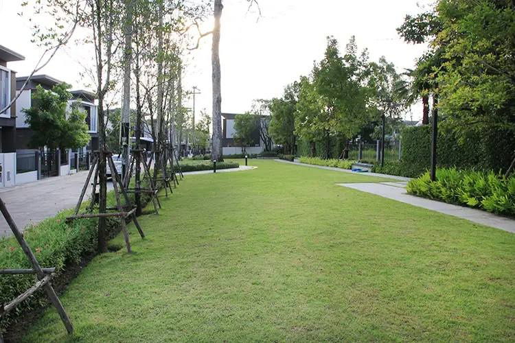 รูป UK01-329 บ้านเช่าสวยพร้อมอยู่ ทริโอทาวน์ ศรีราชา ใกล้ J-Park ศรีราชา: 3 ห้องนอน จอดรถได้ 2 คัน เพียง 17,000 บาท/เดือน พร้อมเฟอร์ครบ เข้าอยู่ได้ทันที! - รูปที่ 19/19