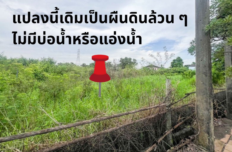 รูป อย่าพลาด! ที่ดินติดถนนหน้ากว้างสี่เหลี่ยมผืนผ้า แปลงสุดท้ายก่อนถึงสนามกอล์ฟธัญญะ ขายที่ดินลำลูกกาซอย 71 เพียง 34,XXX บาท/ตารางวา(โอนก่อนสิ้นปีลดได้!!) - รูปที่ 4/6
