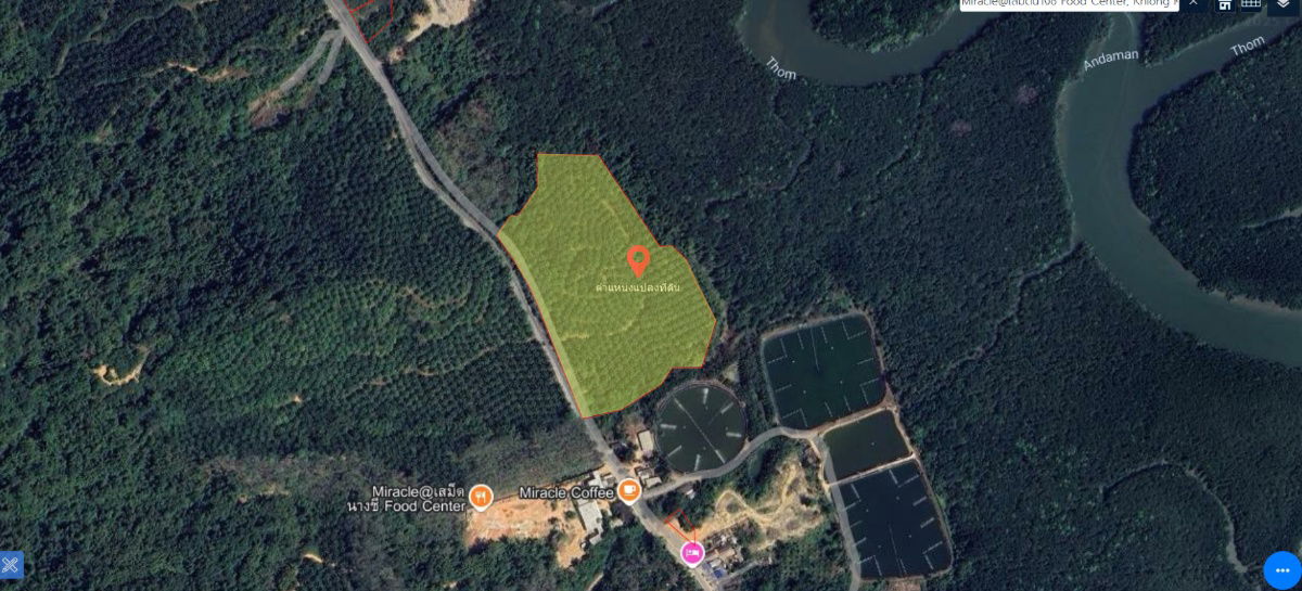 รูป ขาย ที่ดิน ขนาดใหญ่ 24 ไร่ 2 งาน 58. ตร.ว. คลองเคียน ตะกั่วทุ่ง จ.พังงา - รูปที่ 8/9