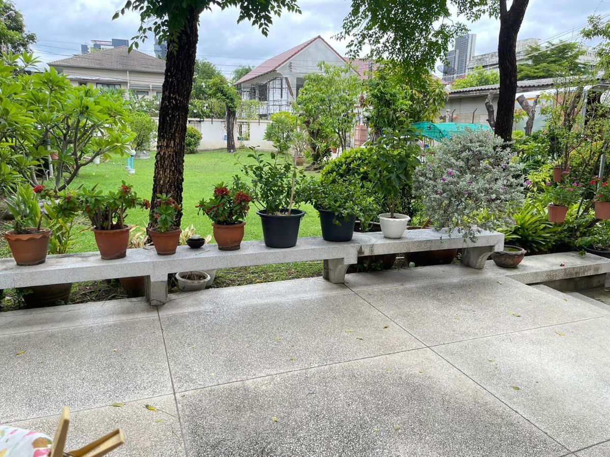 รูป ขายบ้านเดี่ยว พร้อมที่ดิน สุขุมวิท 64 - รูปที่ 2/3