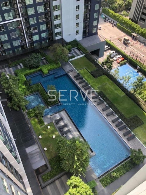 picture 🔥2.89 MB🔥 - 1 Bed 30 sq.m. High Fl. 25+ Good Location Close to BTS Onnut 750 m. at The Base Sukhumvit 77 Condo  / For Sale - 7/8
