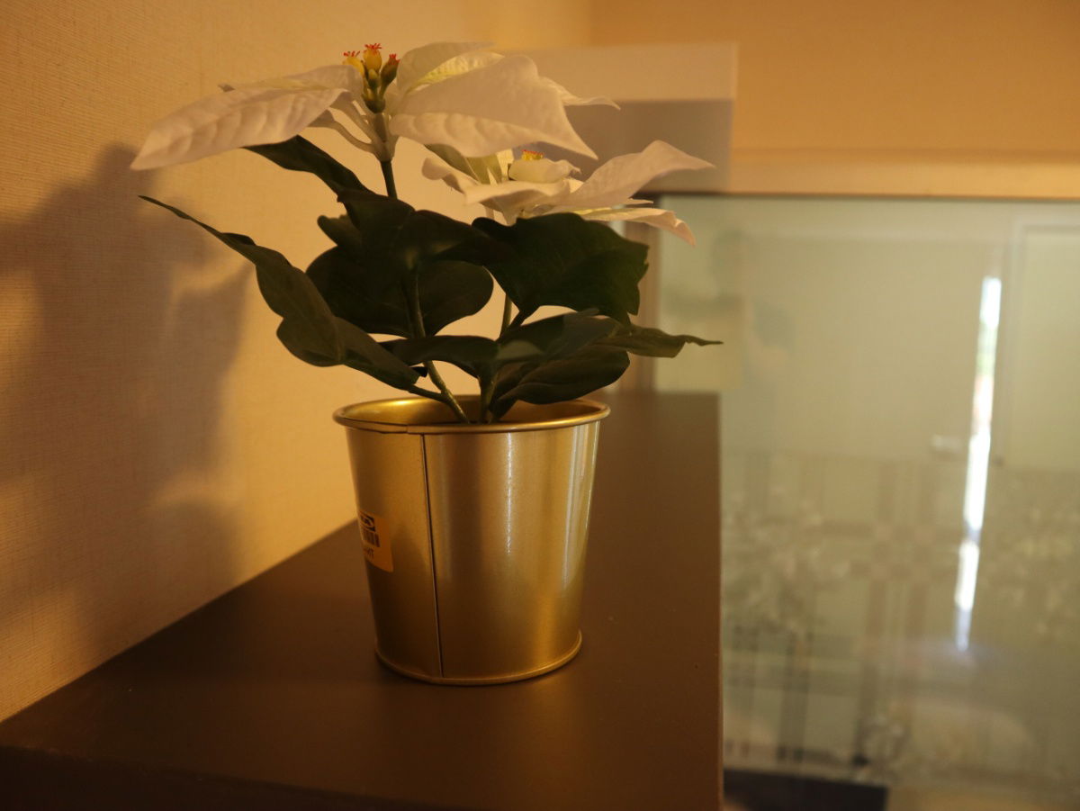 picture For rent Plum condo Bang Yai station 1 bed  fully furnish  - 9/20