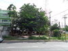 listing thumbnail image 52