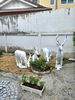 listing thumbnail image 24