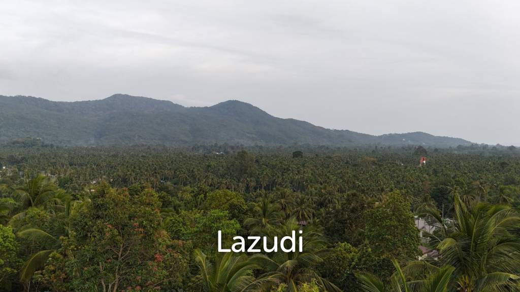 รูป Lush green plot 1248 sqm - รูปที่ 3/10