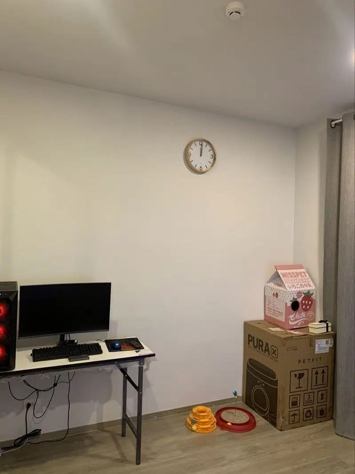 picture Pet friendly BTS Bearing 550 m. Price  15,000 Baht Condo BRIXTON Pet&Play Sukhumvit 107 ( Rental ) - 9/23