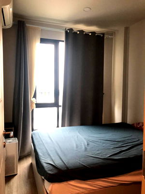 Condos for rent : Pet friendly BTS Bearing 550 m. Price  15,000 Baht Condo BRIXTON Pet&Play Sukhumvit 107 ( Rental )