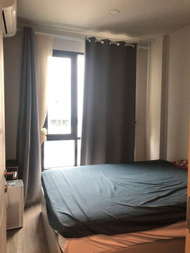 Pet friendly BTS Bearing 550 m. Price  15,000 Baht Condo BRIXTON Pet&Play Sukhumvit 107 ( Rental )