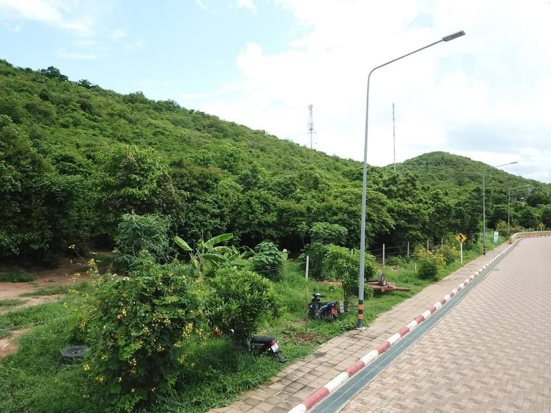 รูป ขายที่ดินเกาะล้าน แบ่งขาย 4 แปลง ติดถนนใหญ่  ทำเลทองใกล้หาดตาแหวน - รูปที่ 4/8