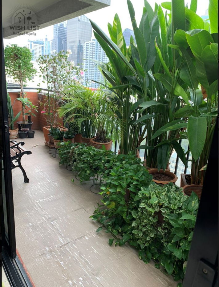 รูป เลี้ยงสัตว์ได้! Kiarti Thanee . 3นอน 195ตร.ม. Line id: @pfagent - รูปที่ 10/11