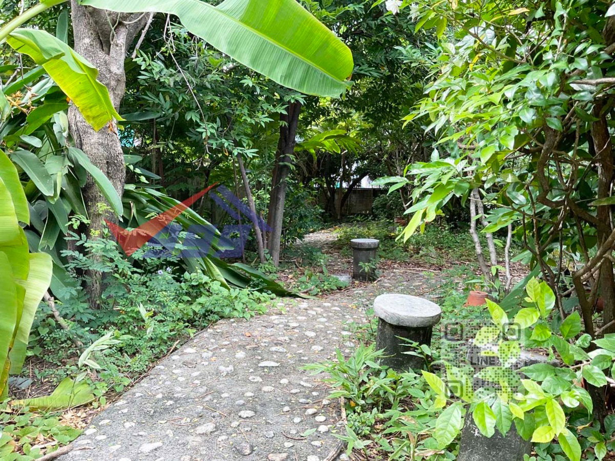 รูป ขายที่ดินพร้อมบ้าน 2 ชั้น ใกล้ MRTบางซ่อน - รูปที่ 11/19