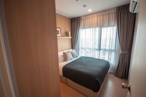 For Rent The Tree Sukhumvit 71 🌟✨ 1 bed 27 sq.m 14,000