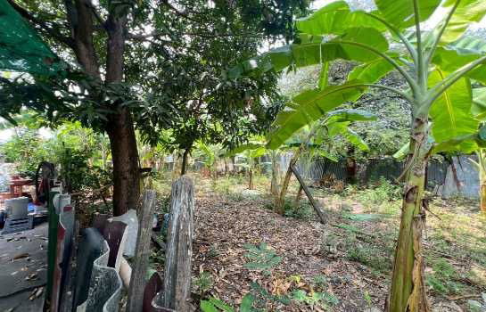 picture Land for sale, 68 sq m, already filled, Watcharaphon Road, Mae Jon Alley, Wat Siriphongthamnimit, Bangkok - 7/8