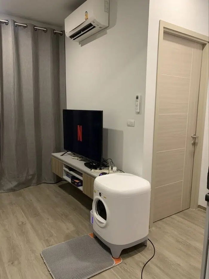 picture Pet friendly BTS Bearing 550 m. Price  15,000 Baht Condo BRIXTON Pet&Play Sukhumvit 107 ( Rental ) - 3/23