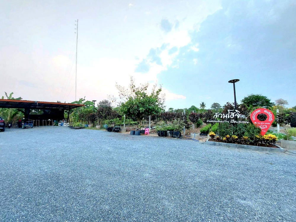 รูป Call : 065-663-3286 สวนโฮจิ ที่ดินสิ่งปลูกสร้าง 3 ไร่ หน้ากว้าง 100 เมตร ติดถนน 3502 (ถนนสายดอกไม้สุพรรณบุรี) หนองหญ้าไซ สุพรรณบุรี (เจ้าของขายเอง) - รูปที่ 5/13