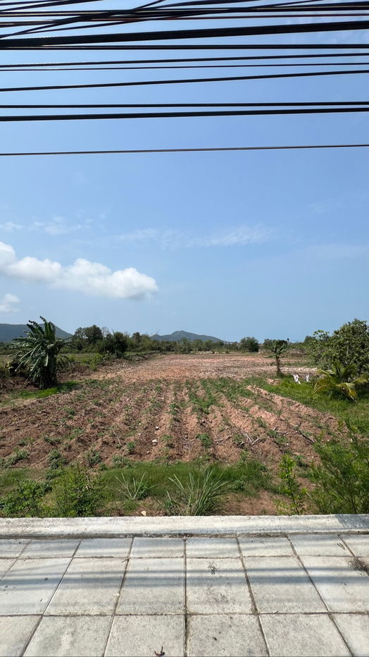 picture land for sale (on Sukumvith road) - 15/20
