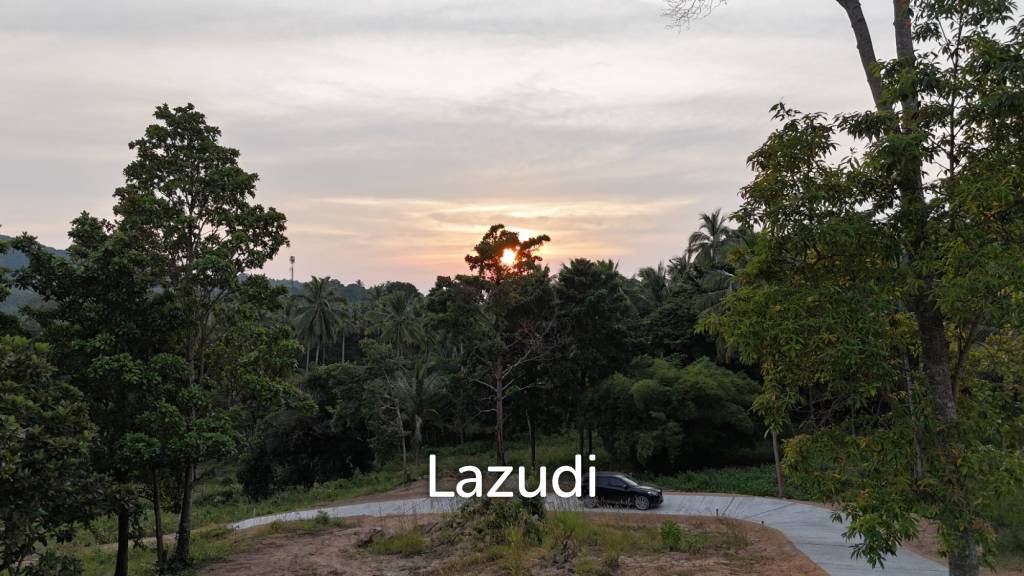 รูป Lush green plot 1248 sqm - รูปที่ 2/10