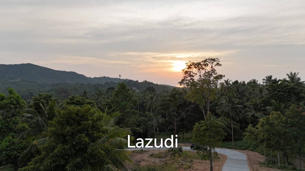 รูป Lush green plot 1248 sqm - รูปที่ 6/10