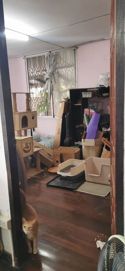 รูป ขาย บ้านเดี่ยว 64 ตร.ว. เลียบด่วนเอกมัย-รามอินทรา รามคำแหง 21 - รูปที่ 4/6