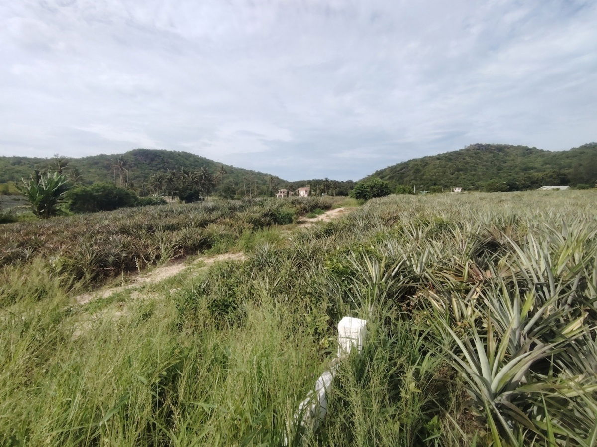 picture 23-0-06 Rai| Welcome to Hidden Valley!  Subdivided Into 6 Prime Home Land Plots - 9/11