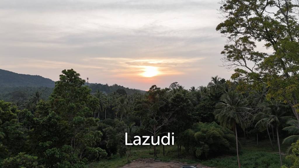 รูป Lush green plot 1248 sqm - รูปที่ 7/10