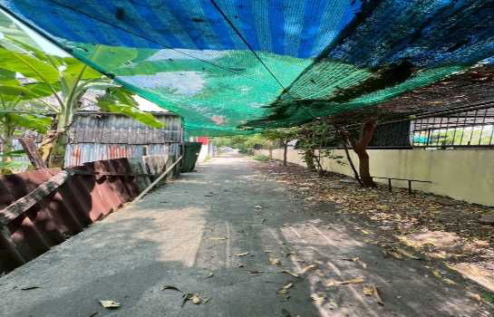 picture Land for sale, 68 sq m, already filled, Watcharaphon Road, Mae Jon Alley, Wat Siriphongthamnimit, Bangkok - 5/8