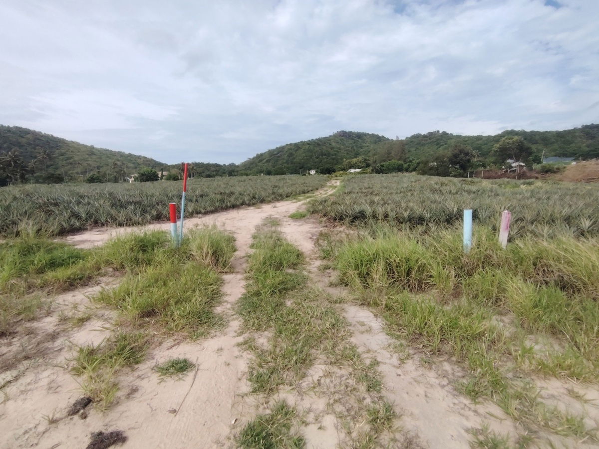 picture 23-0-06 Rai| Welcome to Hidden Valley!  Subdivided Into 6 Prime Home Land Plots - 2/11