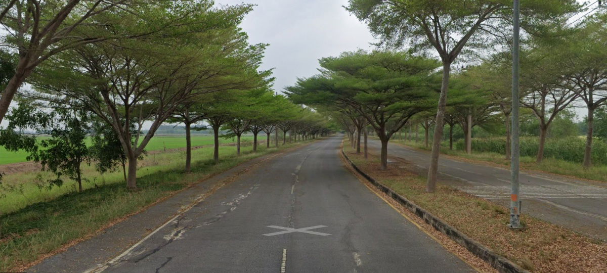 picture ✅Land for sale: 2,229 rai, 3 ngan, 54 sq wah. Phahonyothin Road, Soi Ayodhya Links Golf Course, Lam Ta Sang, Bo Ta Lo Subdistrict,  - 5/5