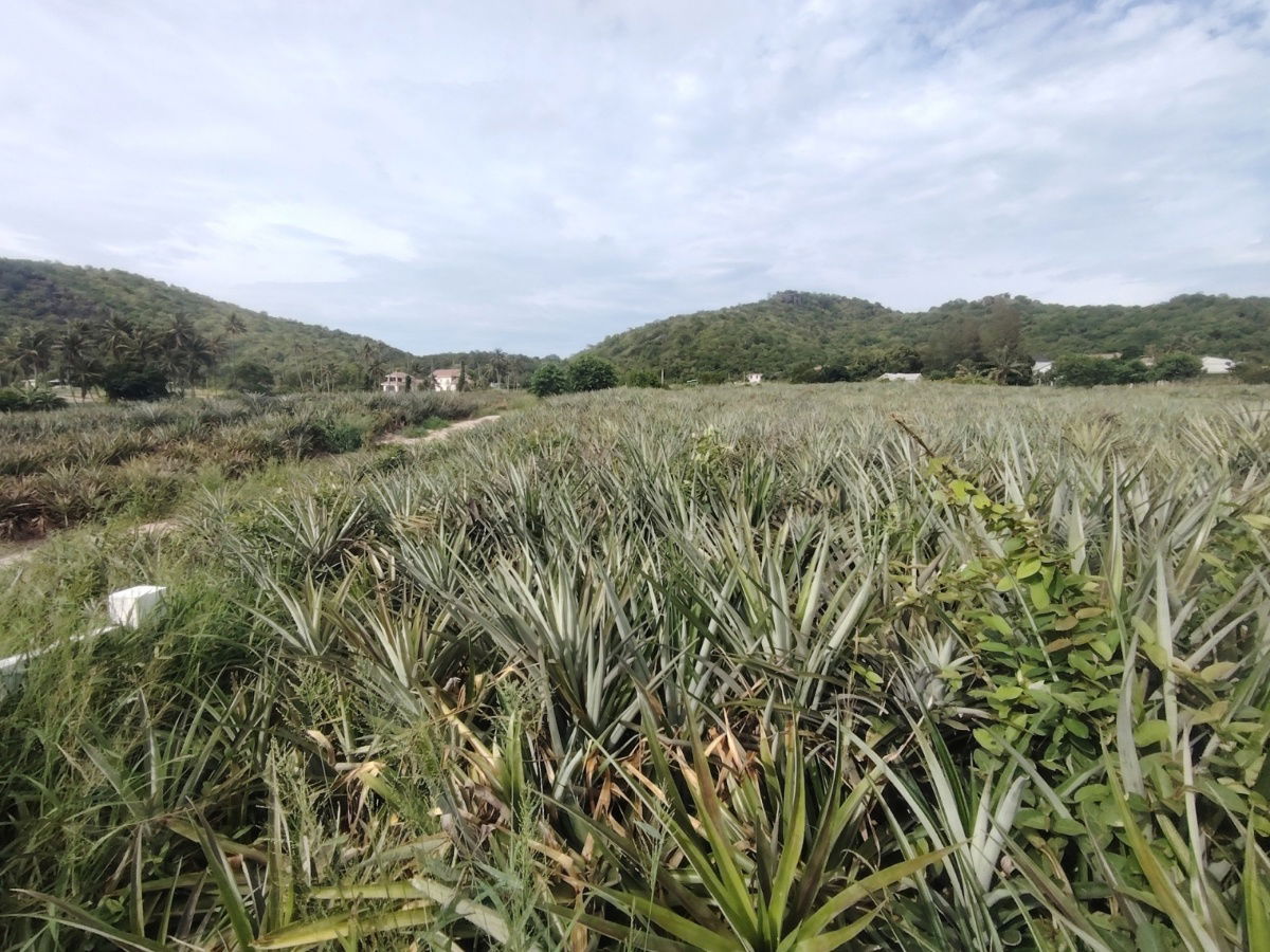 picture 23-0-06 Rai| Welcome to Hidden Valley!  Subdivided Into 6 Prime Home Land Plots - 11/11