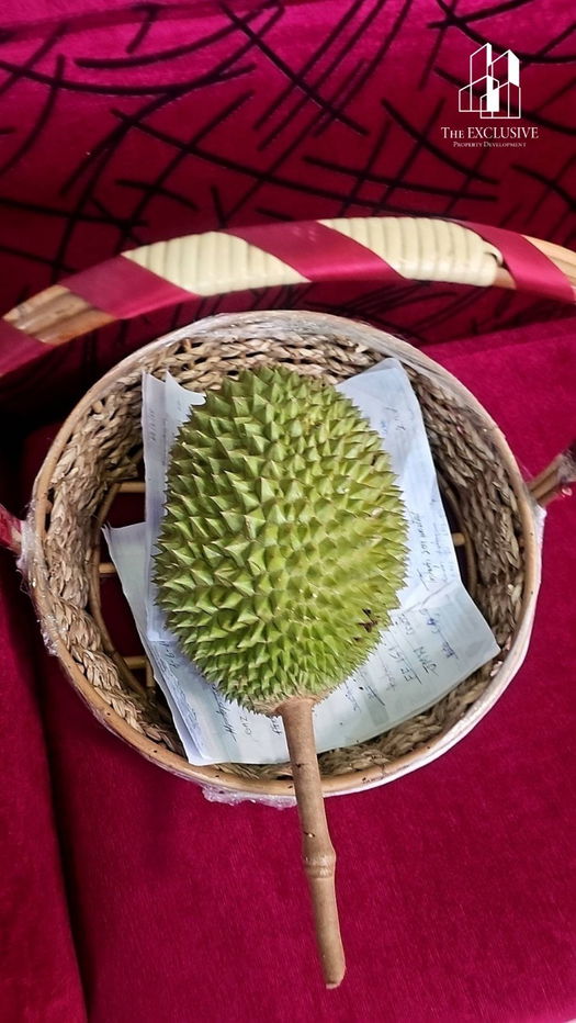 รูป ขายสวนทุเรียน พร้อมเก็บเกี่ยวผลผลิตได้ทันที! ไม่ต้องรอปลูกใหม่ สร้างรายได้ต่อเนื่องทันที - รูปที่ 11/14