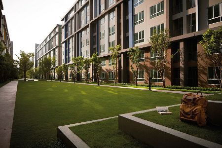 picture Condo for rent, beautiful, DCONDO CAMPUS RESORT Bangna, 30 sq m, decorated by professional architects. - 6/10