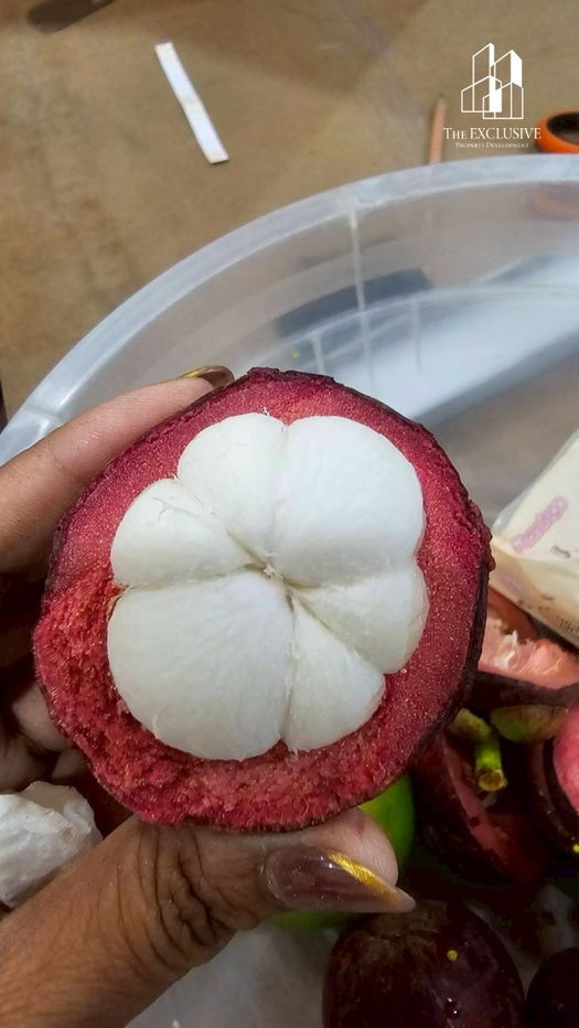 รูป ขายสวนทุเรียน พร้อมเก็บเกี่ยวผลผลิตได้ทันที! ไม่ต้องรอปลูกใหม่ สร้างรายได้ต่อเนื่องทันที - รูปที่ 10/14