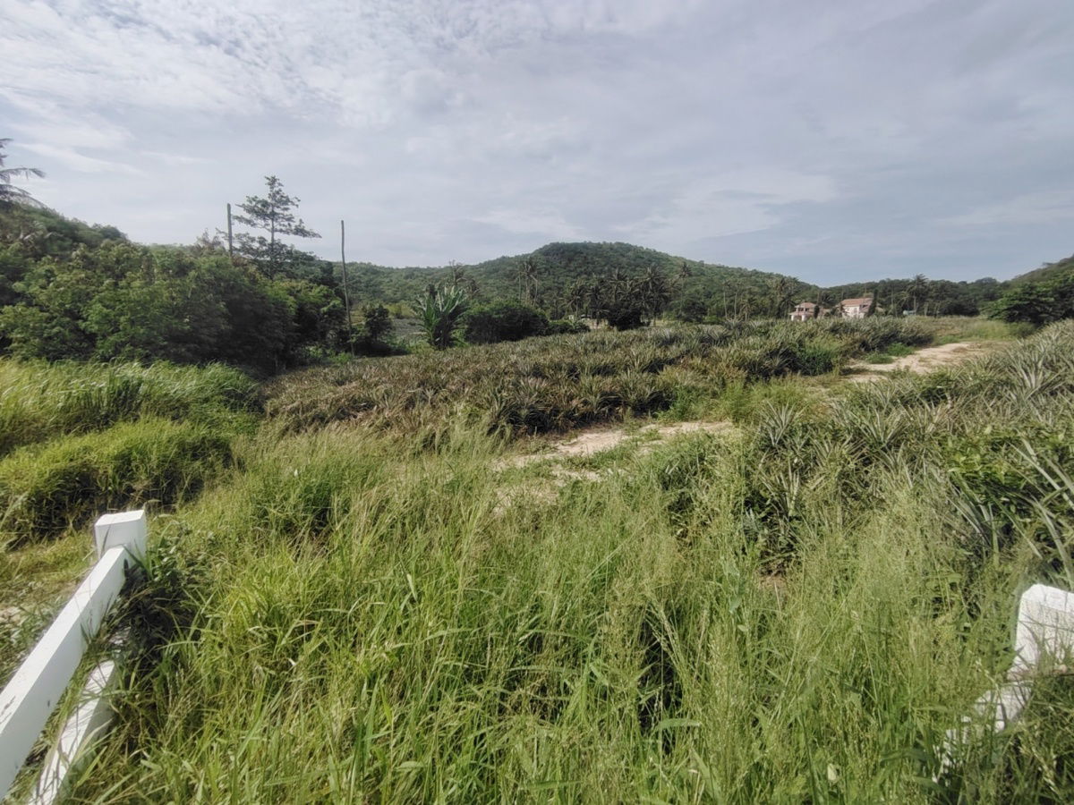 picture 23-0-06 Rai| Welcome to Hidden Valley!  Subdivided Into 6 Prime Home Land Plots - 8/11