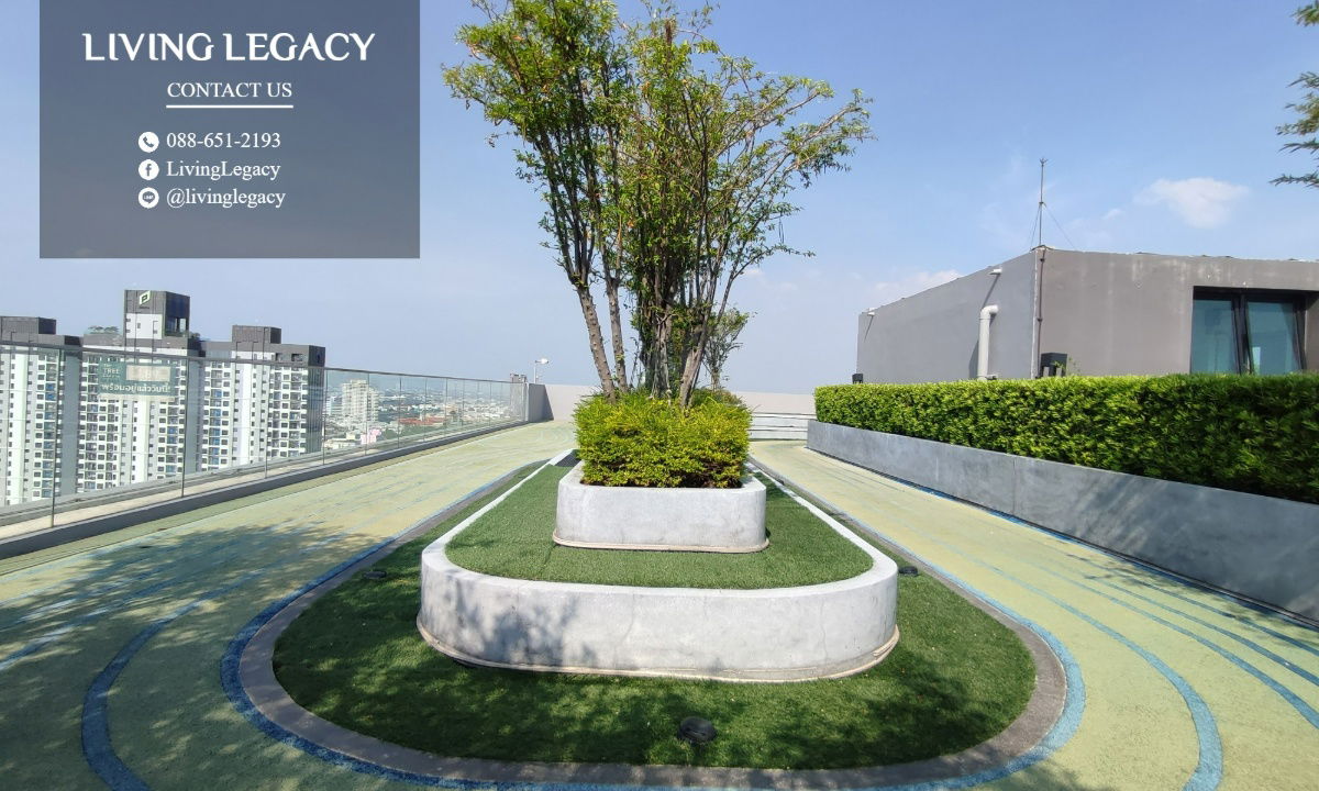 รูป SGCW3H ให้เช่าคอนโด KnightsBridge Collage Ramkhamhaeng 23 ตร.ม. ชั้น 11 line id : @livinglegacy - รูปที่ 11/17