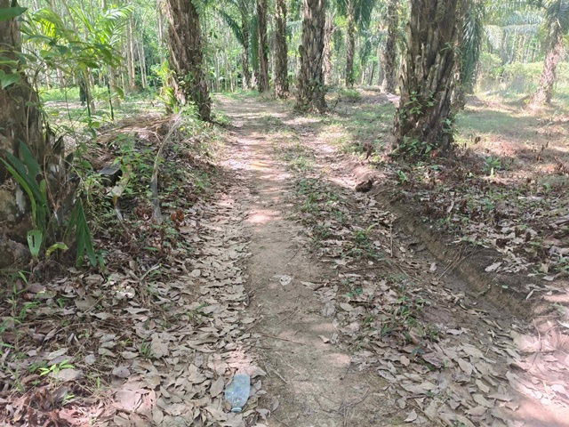 picture Land for sale, suitable for investment . Located near tourist attractions. Sell by Owner. - 6/7