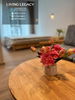 listing thumbnail image 16