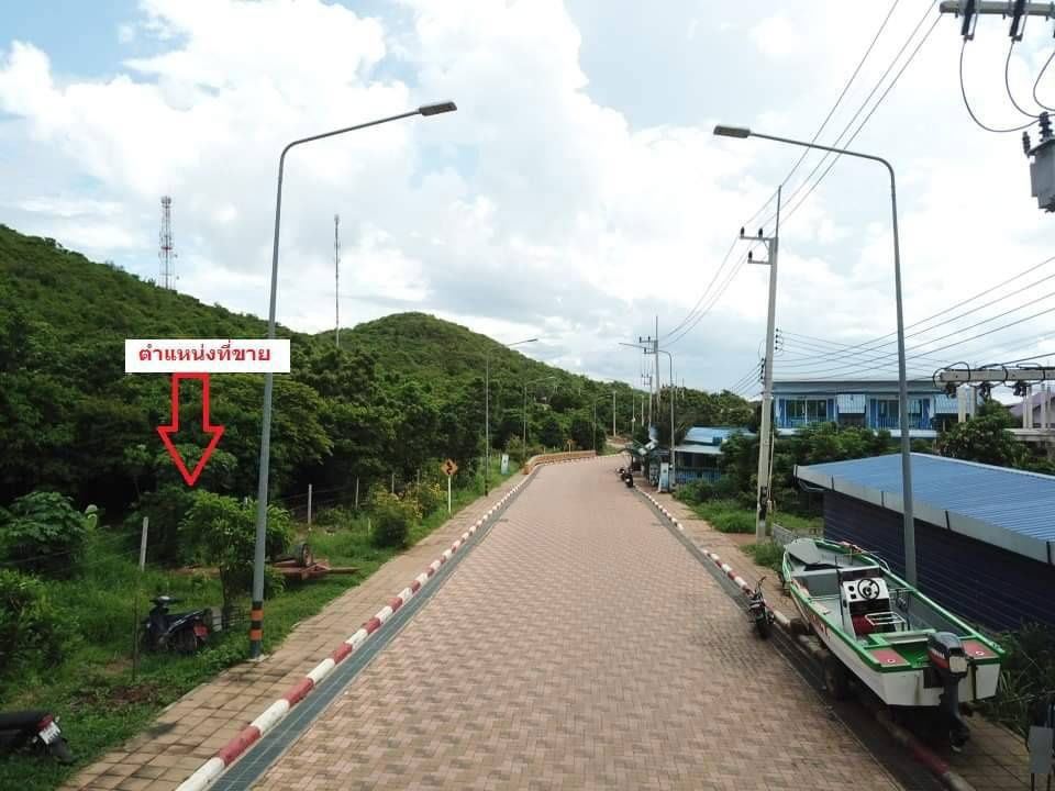 รูป ขายที่ดินเกาะล้าน แบ่งขาย 4 แปลง ติดถนนใหญ่  ทำเลทองใกล้หาดตาแหวน - รูปที่ 6/8