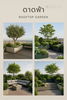 listing thumbnail image 7