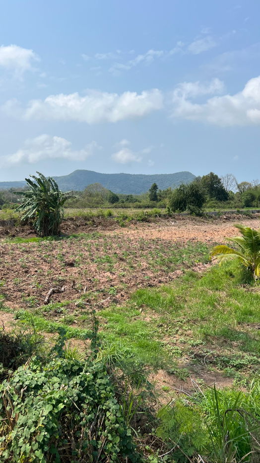 picture land for sale (on Sukumvith road) - 20/20