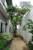 listing thumbnail image 12