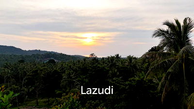 ที่ดิน สุราษฎร์ธานี : Lush green plot 1248 sqm