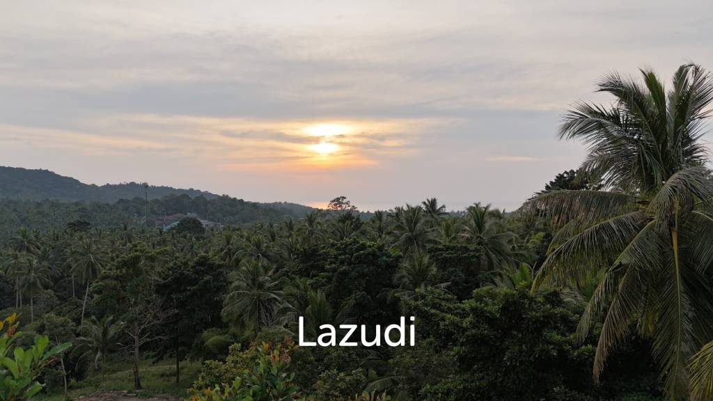 รูป Lush green plot 1248 sqm - รูปที่ 1/10