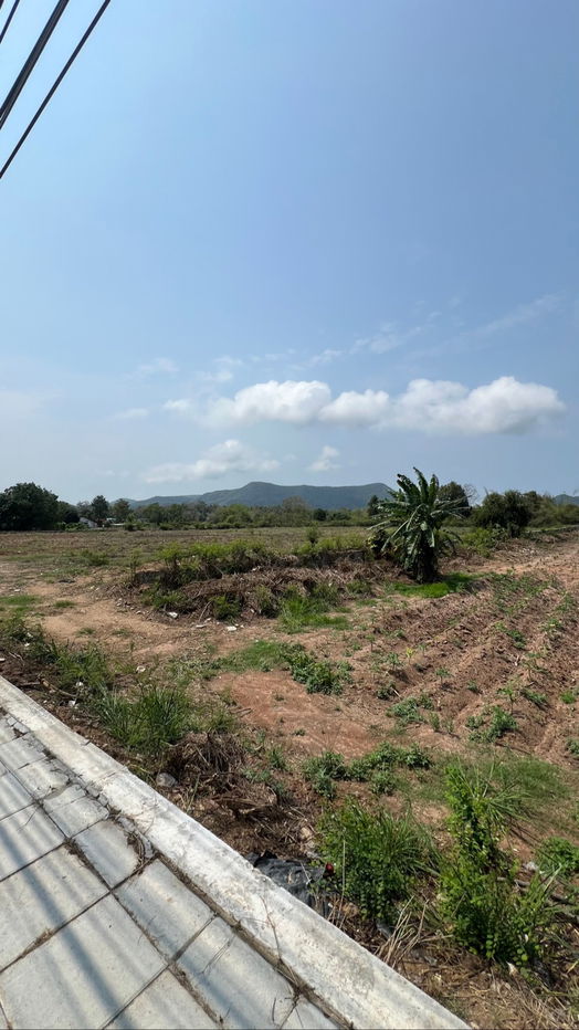 picture land for sale (on Sukumvith road) - 17/20