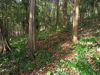listing thumbnail image 14