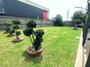 listing thumbnail image 16