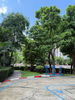 listing thumbnail image 29