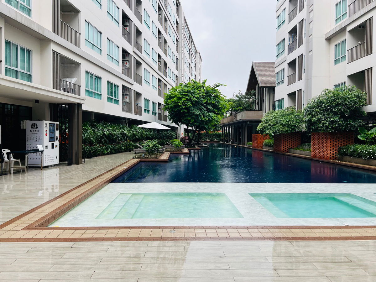 picture ✅ D Condo Rin, pool view, 33 sq m, 12,000 baht, available 12/8/2025☎️064-792-4426 (Ben - 13/13