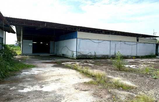 picture Warehouse for sale FA111, EEC yellow, with office worker housing, Nong Hong, Phan Thong, Chonburi. 1200 sq m, 2 rai, Amata Chonburi, 12 km. - 3/12