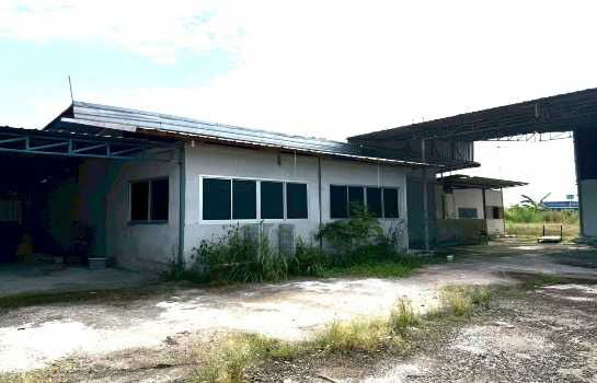 picture Warehouse for sale FA111, EEC yellow, with office worker housing, Nong Hong, Phan Thong, Chonburi. 1200 sq m, 2 rai, Amata Chonburi, 12 km. - 9/12